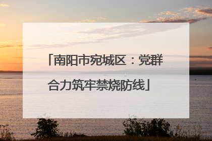 南阳市宛城区：党群合力筑牢禁烧防线
