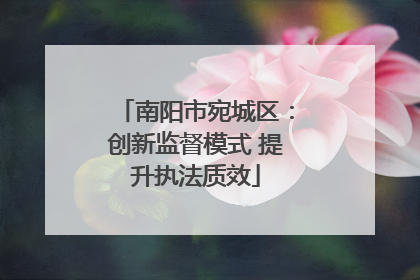 南阳市宛城区：创新监督模式 提升执法质效