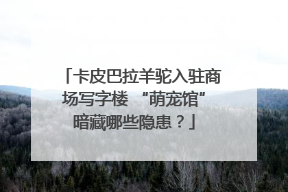 卡皮巴拉羊驼入驻商场写字楼 “萌宠馆”暗藏哪些隐患？