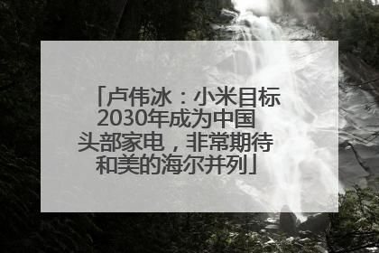 卢伟冰：小米目标2030年成为中国头部家电，非常期待和美的海尔并列