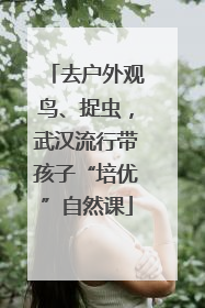 去户外观鸟、捉虫，武汉流行带孩子“培优”自然课