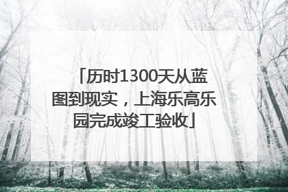 历时1300天从蓝图到现实，上海乐高乐园完成竣工验收