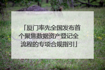 厦门率先全国发布首个聚焦数据资产登记全流程的专项合规指引