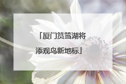 厦门筼筜湖将添观鸟新地标