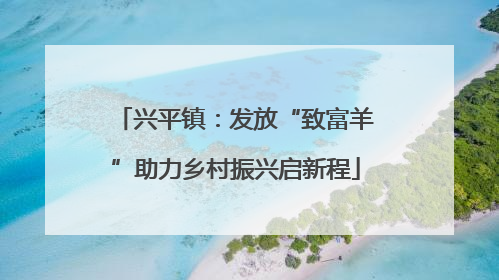 兴平镇：发放“致富羊”助力乡村振兴启新程