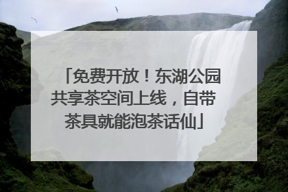 免费开放！东湖公园共享茶空间上线，自带茶具就能泡茶话仙