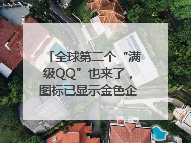全球第二个“满级QQ”也来了，图标已显示金色企鹅，系首个“满级QQ”的小号