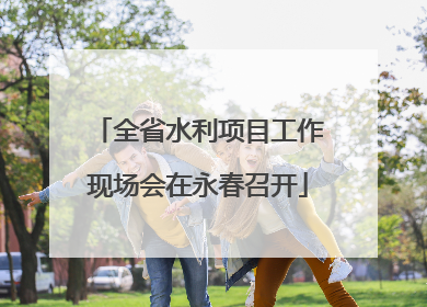 全省水利项目工作现场会在永春召开