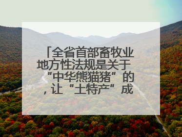 全省首部畜牧业地方性法规是关于“中华熊猫猪”的，让“土特产”成为“新国潮”，让“农产品”升格为“城市IP”