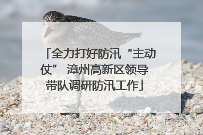 全力打好防汛“主动仗” 漳州高新区领导带队调研防汛工作