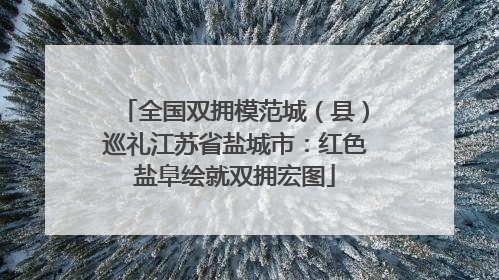 全国双拥模范城（县）巡礼江苏省盐城市：红色盐阜绘就双拥宏图