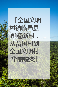 全国文明村镇临邑县前杨新村：从贫困村到全国文明村华丽蜕变