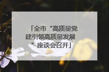 全市“高质量党建引领高质量发展”座谈会召开