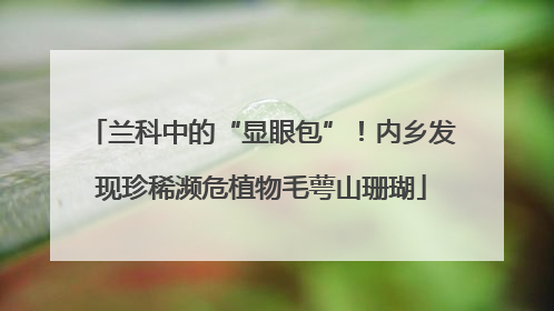 兰科中的“显眼包”！内乡发现珍稀濒危植物毛萼山珊瑚