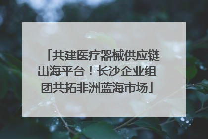 共建医疗器械供应链出海平台！长沙企业组团共拓非洲蓝海市场
