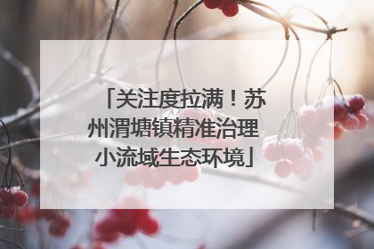关注度拉满！苏州渭塘镇精准治理小流域生态环境