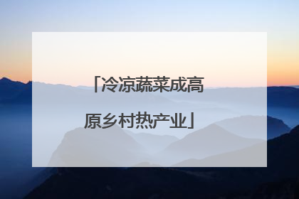 冷凉蔬菜成高原乡村热产业