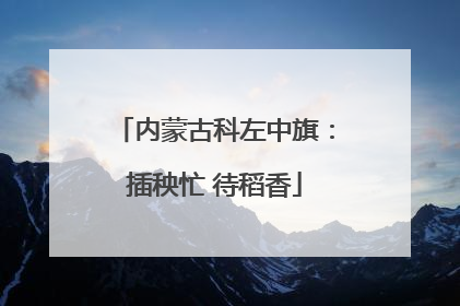 内蒙古科左中旗：插秧忙 待稻香