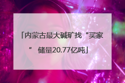 内蒙古最大碱矿找“买家” 储量20.77亿吨