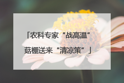 农科专家“战高温” 菇棚送来“清凉策”