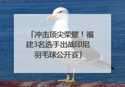 冲击顶尖荣耀！福建3名选手出战印尼羽毛球公开赛