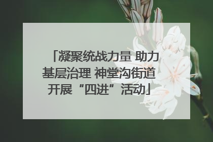 凝聚统战力量 助力基层治理 神堂沟街道开展“四进”活动