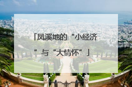 凤溪地的“小经济”与“大情怀”