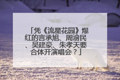 凭《流星花园》爆红的言承旭、周渝民、吴建豪、朱孝天要合体开演唱会？