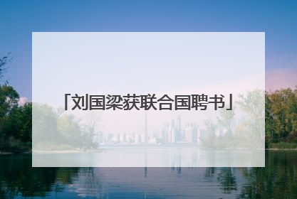 刘国梁获联合国聘书