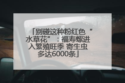 别碰这种粉红色“水草花”：福寿螺进入繁殖旺季 寄生虫多达6000条