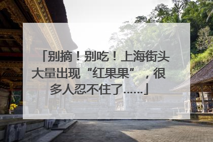别摘！别吃！上海街头大量出现“红果果”，很多人忍不住了……