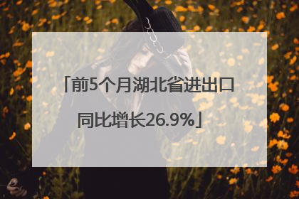 前5个月湖北省进出口同比增长26.9%