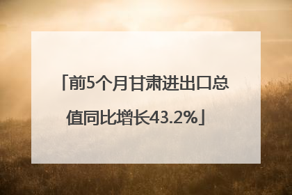 前5个月甘肃进出口总值同比增长43.2%