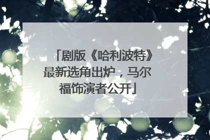剧版《哈利波特》最新选角出炉，马尔福饰演者公开