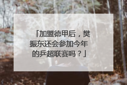 加盟德甲后，樊振东还会参加今年的乒超联赛吗？