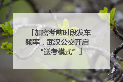 加密考前时段发车频率，武汉公交开启“送考模式”