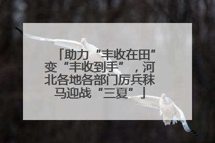 助力“丰收在田”变“丰收到手”，河北各地各部门厉兵秣马迎战“三夏”