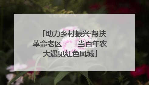 助力乡村振兴·帮扶革命老区——当百年农大遇见红色凤城