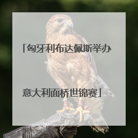 匈牙利布达佩斯举办意大利面桥世锦赛