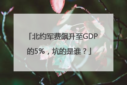北约军费飙升至GDP的5%，坑的是谁？