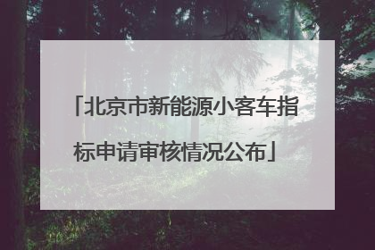 北京市新能源小客车指标申请审核情况公布