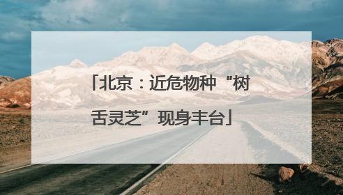 北京：近危物种“树舌灵芝”现身丰台
