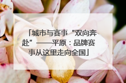城市与赛事“双向奔赴”——平原：品牌赛事从这里走向全国