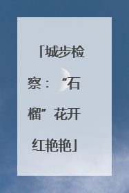 城步检察：“石榴”花开红艳艳