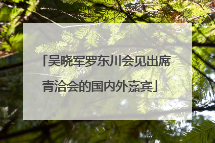 吴晓军罗东川会见出席青洽会的国内外嘉宾