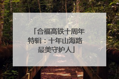 合福高铁十周年特辑：十年山海路 最美守护人