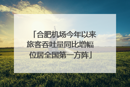 合肥机场今年以来旅客吞吐量同比增幅位居全国第一方阵