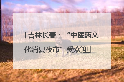 吉林长春：“中医药文化消夏夜市”受欢迎