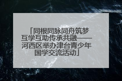 同根同脉同舟筑梦 互学互助传承共融——河西区举办津台青少年国学交流活动