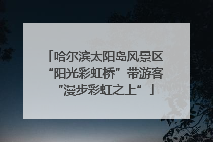 哈尔滨太阳岛风景区“阳光彩虹桥”带游客“漫步彩虹之上”